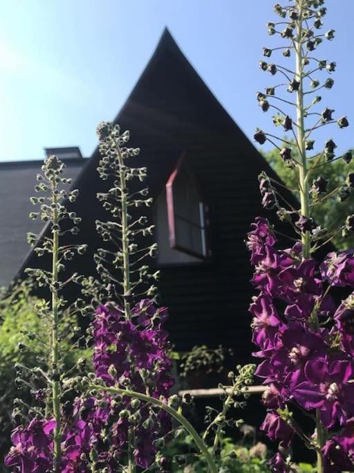 Willa Laengtan Marielund Uppsala Zewnętrze zdjęcie